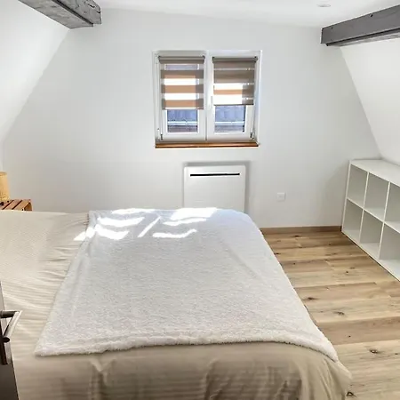 Casa vacanze Maison Alsacienne & Moderne En Hypercentre *