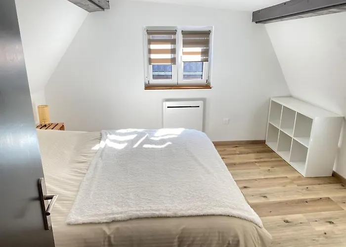 Semesterbostad Maison Alsacienne & Moderne En Hypercentre *