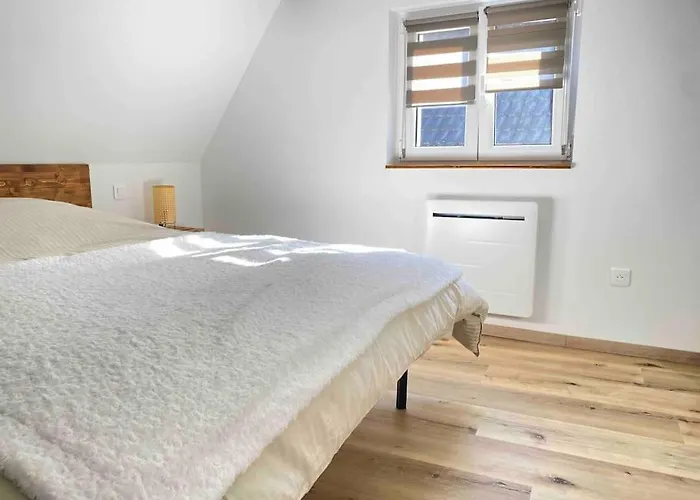 Maison Alsacienne & Moderne En Hypercentre Semesterbostad *